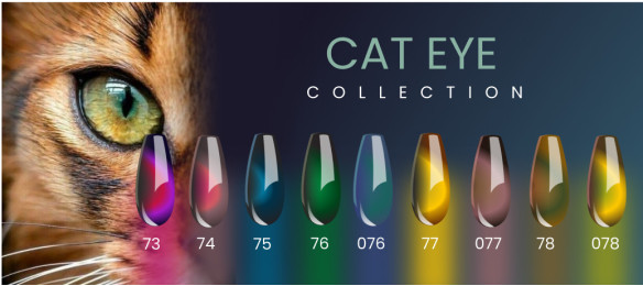 CAT  EYE